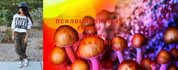 дурь Волосово